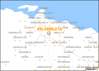 map of Palma Bajita