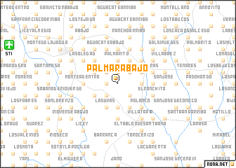 map of Palmar Abajo