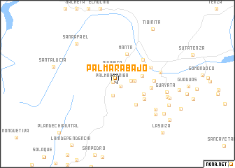 map of Palmar Abajo