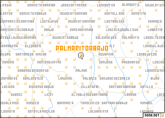 map of Palmarito Abajo