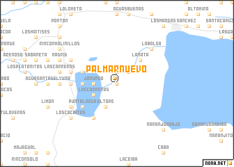 map of Palmar Nuevo