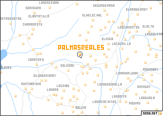 map of Palmas Reales