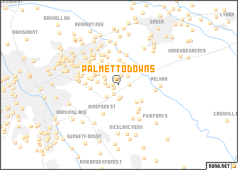 map of Palmetto Downs