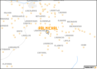 map of Palmichal