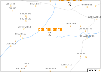 map of Palo Blanco