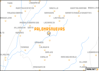 map of Palomas Nuevas