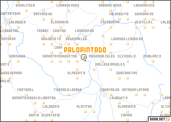 map of Palo Pintado