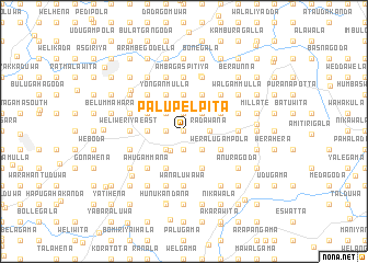 map of Palupelpita