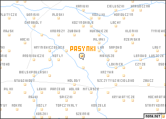 map of Pasynki