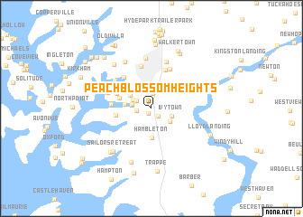 map of Peach Blossom Heights