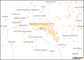 map of Peachtree City