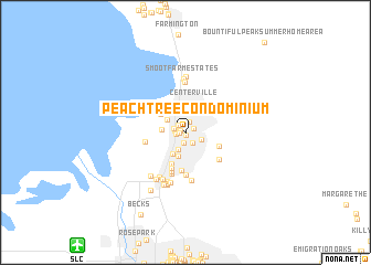map of Peach Tree Condominium