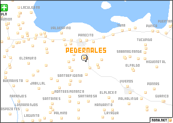 map of Pedernales