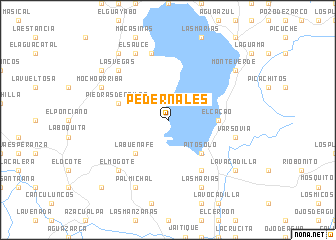 map of Pedernales