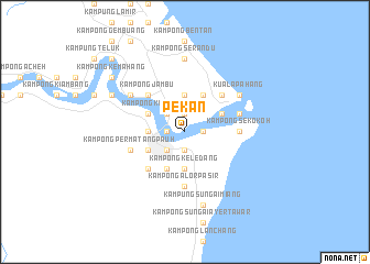 map of Pekan