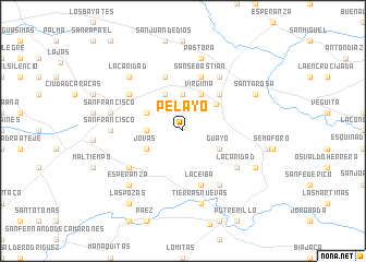 map of Pelayo