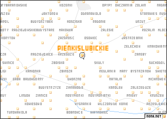 map of Pieńki Słubickie