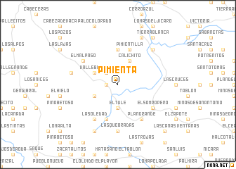 map of Pimienta