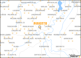 map of Pimienta