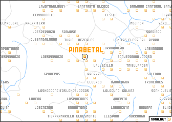 map of Pinabetal