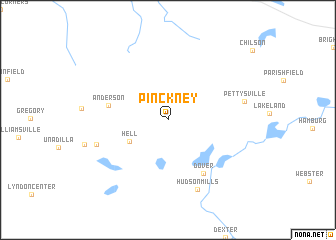 map of Pinckney