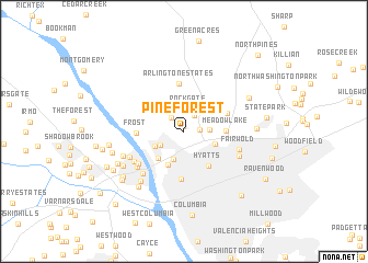 map of Pine Forest