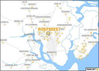 map of Pine Forest