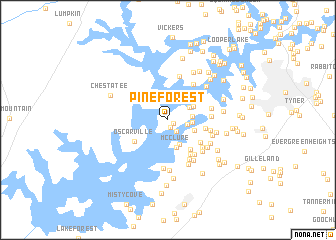 map of Pine Forest
