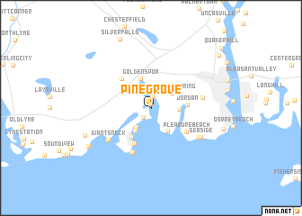 map of Pine Grove