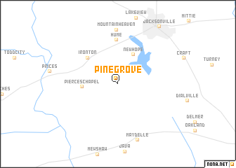 map of Pine Grove