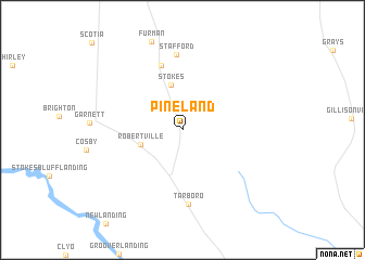 map of Pineland