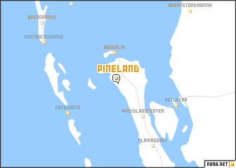 map of Pineland