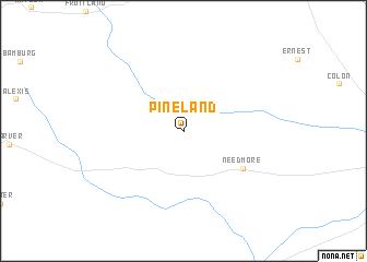 map of Pineland