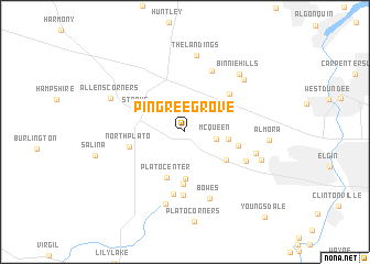 map of Pingree Grove