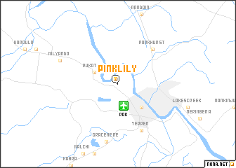 map of Pink Lily