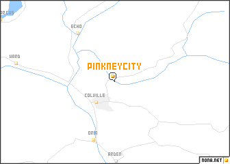 map of Pinkney City