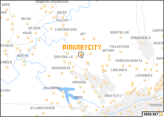 map of Pinkney City