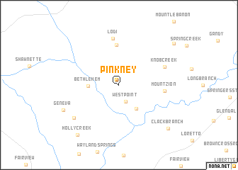 map of Pinkney