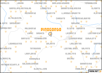 map of Pino Gordo