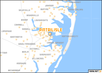 map of Pintail Isle