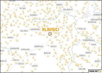 map of Plavsići