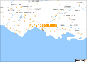 map of Playa de Salinas