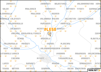 map of Pleşa