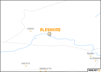 map of Pleshkino