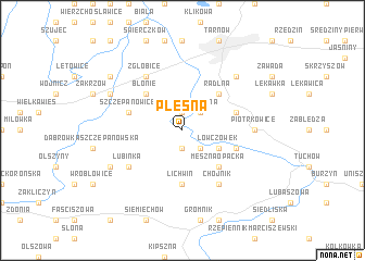 map of Pleśna