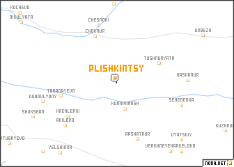 map of Plishkintsy