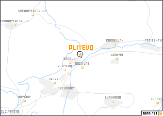 map of Pliyevo