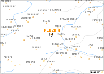 map of Plužina