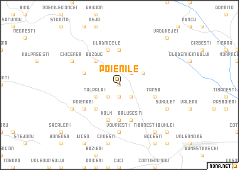 map of Poienile