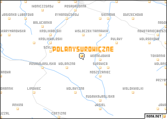 map of Polany Surowiczne